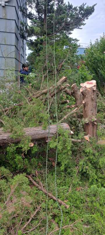 Sandoval Brothers Services LLC